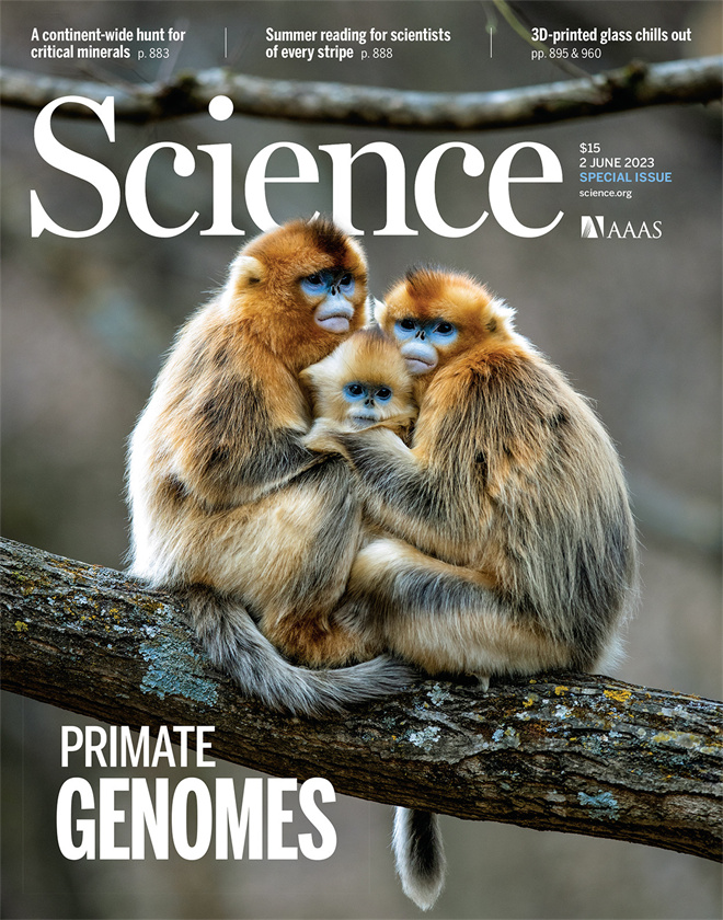 Science封面文章:德赢AC米兰官网金丝猴研究团队首次系统揭示灵长类社会演化之谜_fororder_《自然》封面.JPG