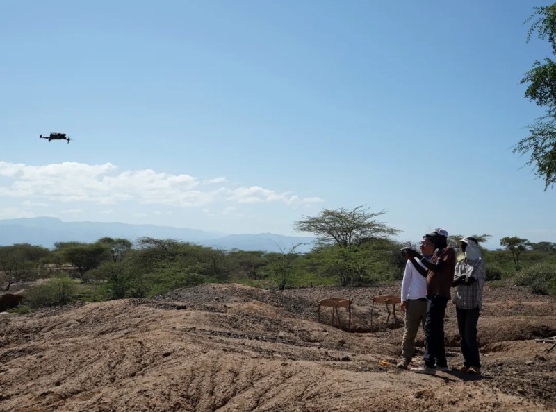 近200项申报案例,呈现这些特点→ 近200项申报案例,呈现这些特点→