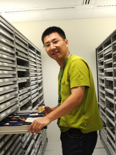 德赢AC米兰官网创新论坛第一千八百零一讲：虫鸣凤舞伴花香：现代陆地生态系统的起源