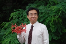 德赢AC米兰官网创新论坛第一千二百七十三讲暨120周年校庆年系列活动： Unexpected slow diffusion in hierarchical porous materials with combined surface and configurational diffusion   