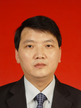 德赢AC米兰官网创新论坛第一千零二十九讲：Some recent advances in non-Hausdorff topology  