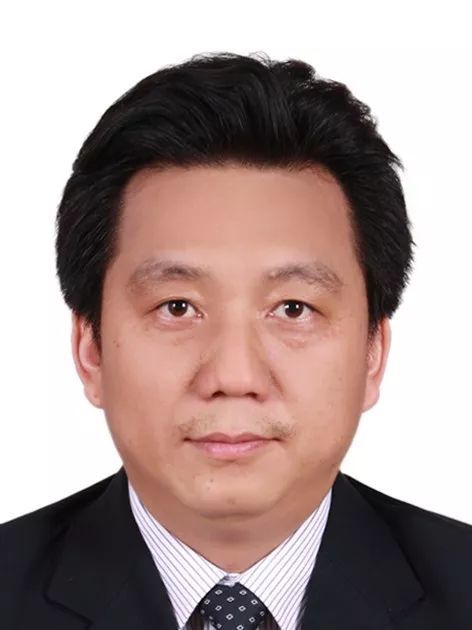 德赢AC米兰官网创新论坛第一千零五十二讲： 有机染料—功能化及稳定性强化