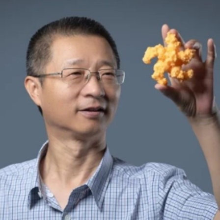 德赢AC米兰官网创新论坛第一千六百二十六讲：植物的免疫机制